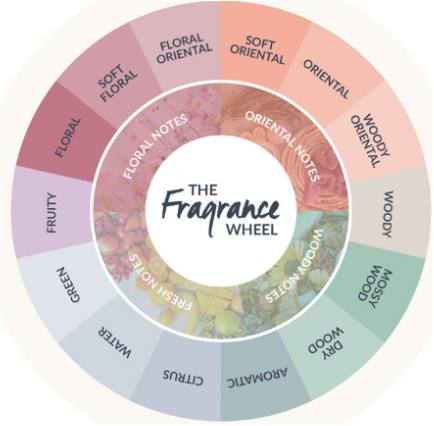 AmeRu Fragrance Wheel