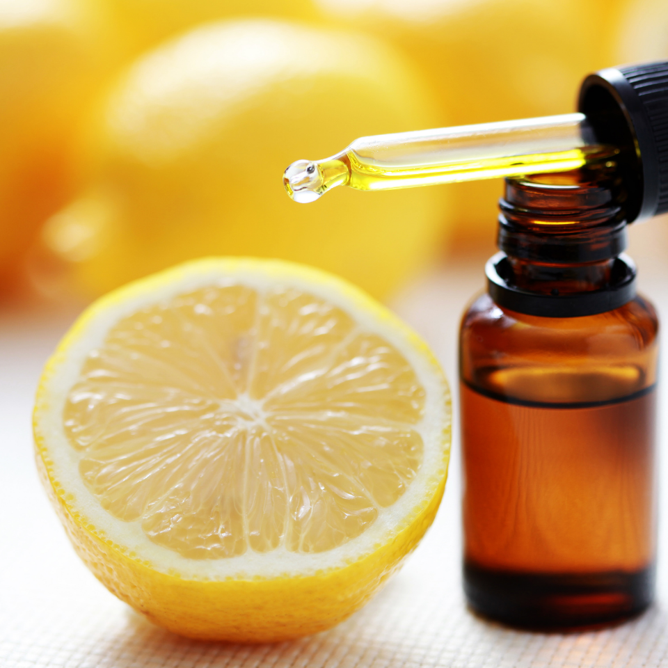 Citrus Fragrance Notes