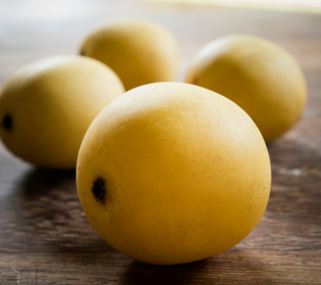 Benefits of Marula Oil found in AmeRu Hydrating Body Crème