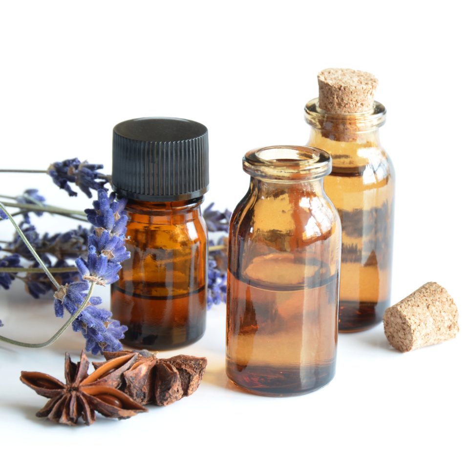 Chypre Fragrance Notes