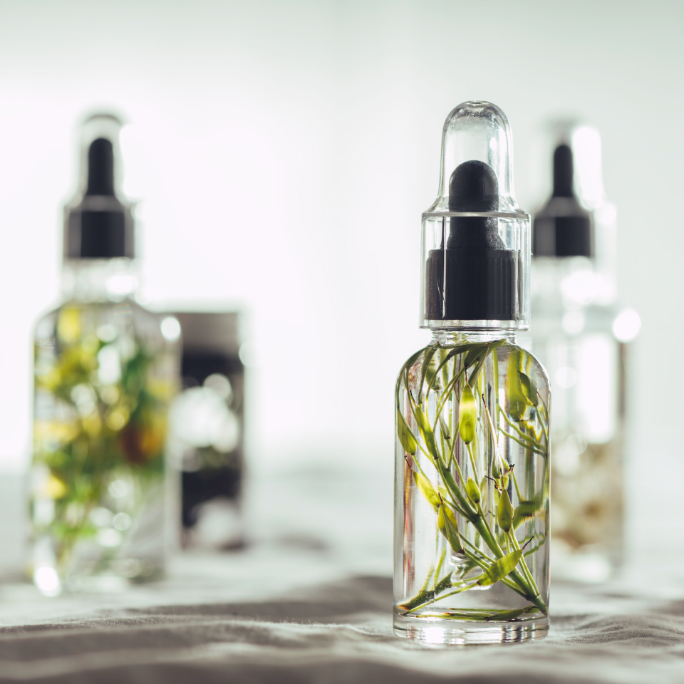 Fougère Fragrance Note