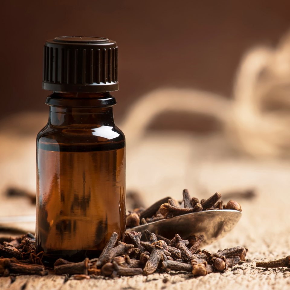 Amber or Oriental Fragrance Notes