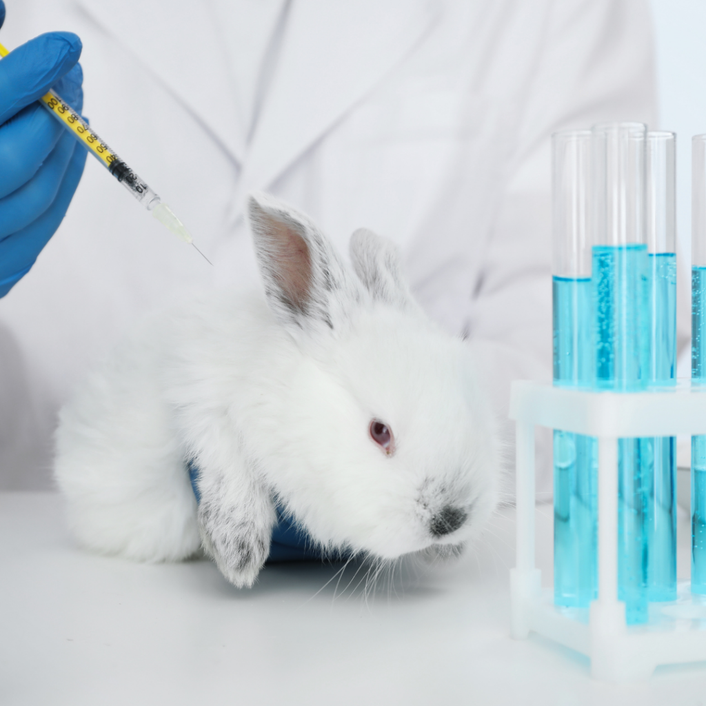 Animal Testing