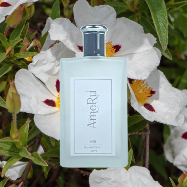 Perfume inspired by Grand Soir - Maison Francis Kurkdjian